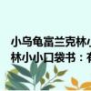小烏龜富蘭克林小小口袋書：有聲美讀（關于小烏龜富蘭克林小小口袋書：有聲美讀簡介）