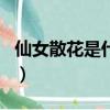 仙女散花是什么生肖的（仙女散花是什么生肖）