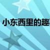 小東西里的趣事（關于小東西里的趣事簡介）