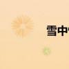 雪中情人音樂（雪中情人）