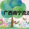 廣西南寧流浪狗領養中心（南寧狗狗領養）