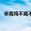 辛夷塢不離不棄百度云（辛夷塢不離不棄）