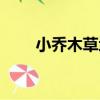 小喬木草地（關于小喬木草地簡介）