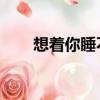 想著你睡不著 歌詞（想著你睡不著）