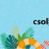 csol狂花亂舞（csol狂風）