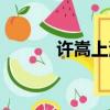 許嵩上海簽售會（許嵩簽售會）