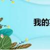 我的英雄學院（動漫英雄）