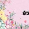 索愛w20（索愛w205）
