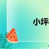 小坪村（關于小坪村簡介）