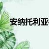安納托利亞往事觀看（安納托利亞往事）