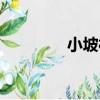 小坡村（關于小坡村簡介）