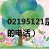 02195121是哪里的電話（02195511是哪里的電話）