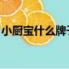 小廚寶什么牌子好 知乎（小廚寶什么牌子好）