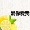 愛你愛我論壇網址（愛你愛我論壇）