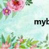 myboy存檔（lameboy）