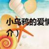 小烏鴉的愛情進程（關于小烏鴉的愛情進程簡介）