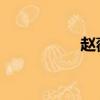 趙薇 經濟（趙薇經緯）