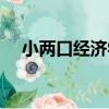 小兩口經濟學（關于小兩口經濟學簡介）