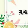 孔祥正（關于孔祥正介紹）