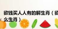 欲錢買人人有的解生肖(欲錢買人人有的是什么生肖)