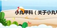 小丸甲科(關于小丸甲科簡介)