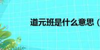 道元班是什么意思(道元班)