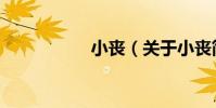 小喪(關于小喪簡介)