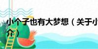 小個子也有大夢想(關于小個子也有大夢想簡介)