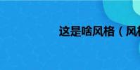 這是啥風格(風格吧)