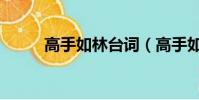 高手如林臺詞(高手如林片尾曲)