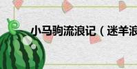 小馬駒流浪記(迷羊浪蕩小馬駒)