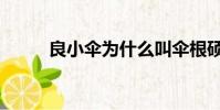 良小傘為什么叫傘根碩(良小傘)