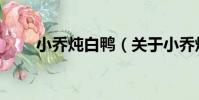 小喬燉白鴨(關于小喬燉白鴨簡介)