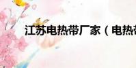 江蘇電熱帶廠家(電熱帶生產廠家)