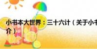 小書本大世界:三十六計(關于小書本大世界:三十六計簡介)