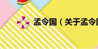 孟令國(關于孟令國介紹)