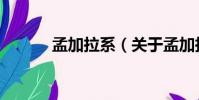 孟加拉系(關于孟加拉系介紹)