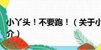 小丫頭!不要跑!(關于小丫頭!不要跑!簡介)