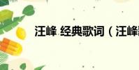 汪峰 經典歌詞(汪峰歌詞露骨)