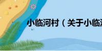 小臨河村(關于小臨河村簡介)