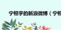 寧桓宇的新浪微博(寧桓宇新浪微博)