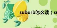 suburb怎么讀(suburb)