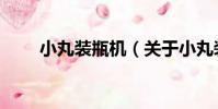 小丸裝瓶機(關于小丸裝瓶機簡介)