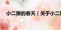 小二狼的春天(關于小二狼的春天簡介)