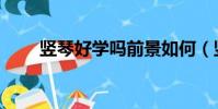 豎琴好學嗎前景如何(豎琴好學嗎)