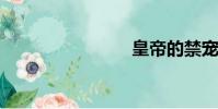 皇帝的禁寵