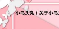 小烏頭丸(關于小烏頭丸簡介)