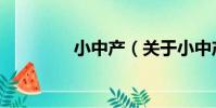 小中產(關于小中產簡介)