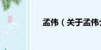 孟偉(關于孟偉介紹)
