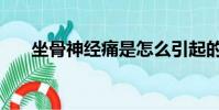 坐骨神經痛是怎么引起的(坐骨神經)